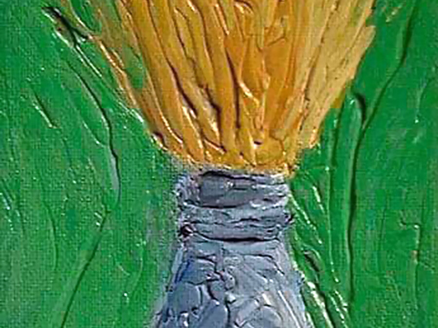 Shaving Brush